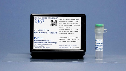 JC Virus DNA Quantitative Standard