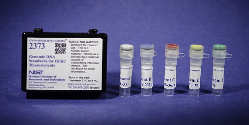 Genomic DNA Standards for HER2 Measurements