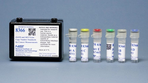 EGFR and MET Gene Copy Number Standards for Cancer Measurements