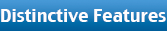 Distinctive Features