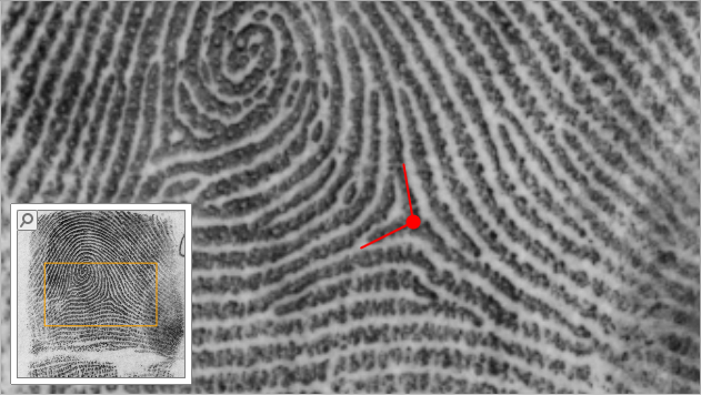 instructions-2/></li>
<li>Click again and move the cursor to the rightward direction of flow.
<img class =